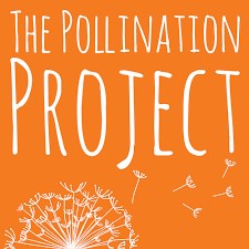 Pollination